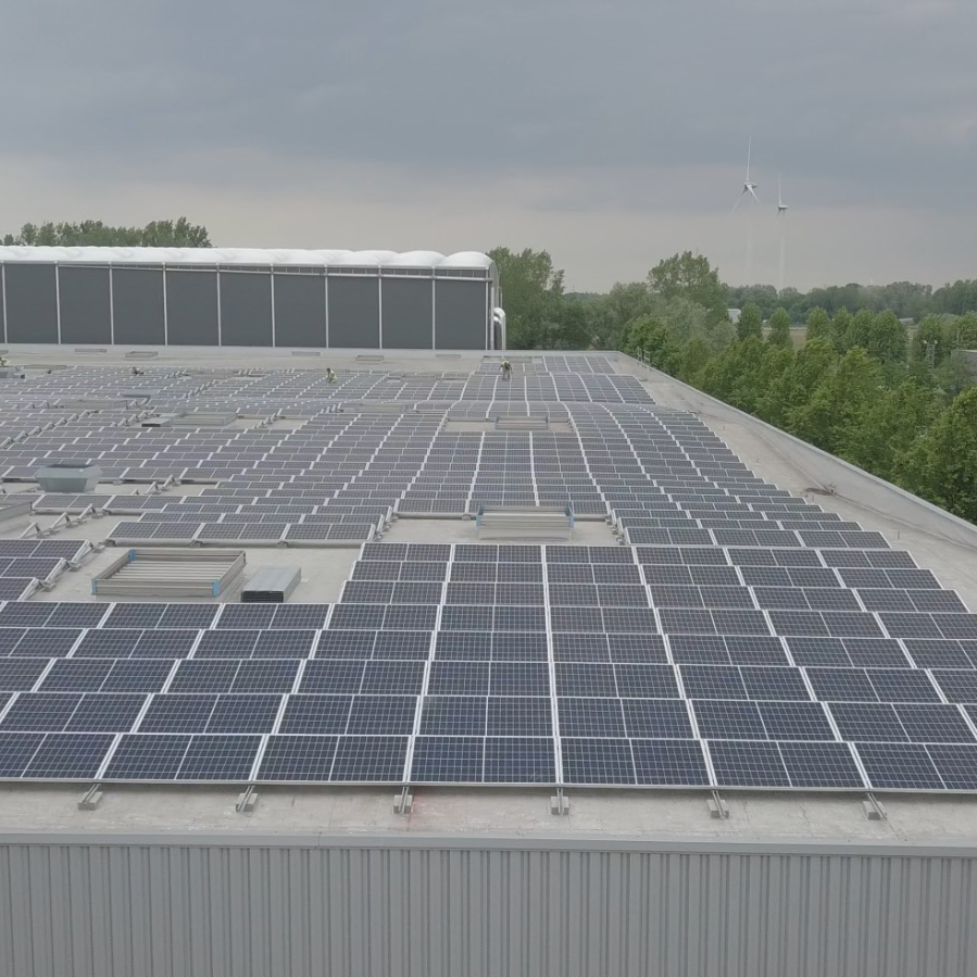 Zonnepanelen puurs