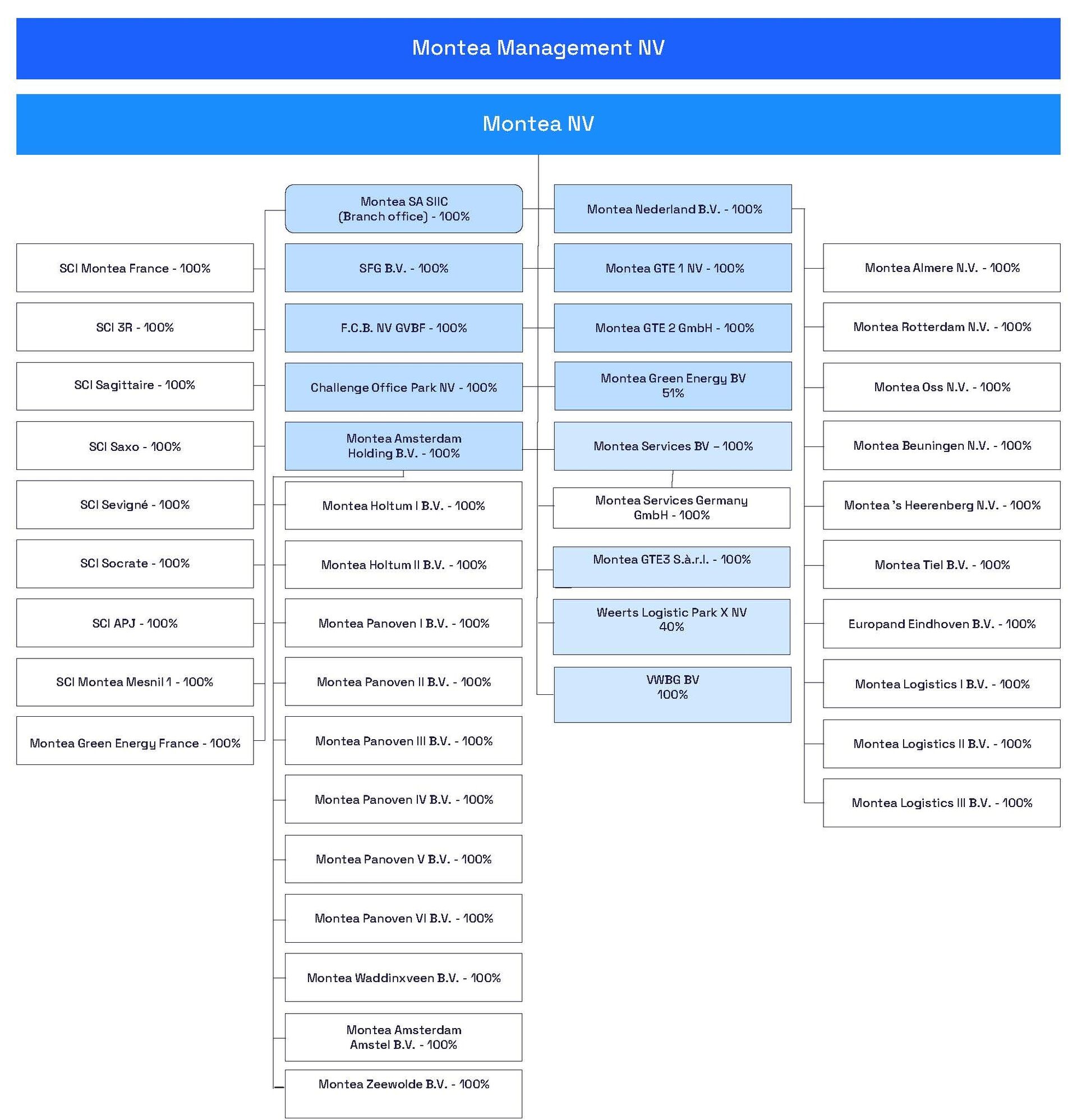 20250805 Montea Organization Chart